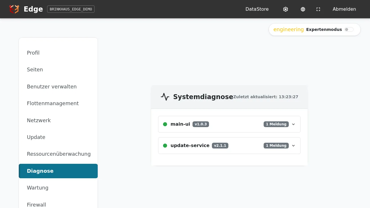 Systemdiagnose